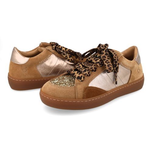 Andrea morelli sneakers camel Meisjes (Sneaker camel laces leopard - 53495) - Junior Steps