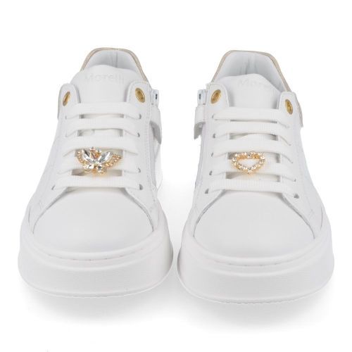 Andrea morelli sneakers wit Meisjes ( - witte sneaker met goud52916) - Junior Steps