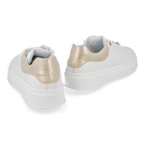 Andrea morelli sneakers wit Meisjes ( - witte sneaker met goud52916) - Junior Steps