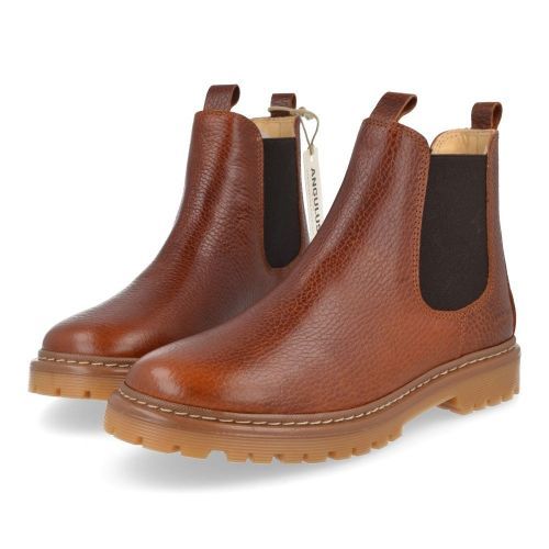 Angulus Bottes courtes cognac  (2179-101) - Junior Steps