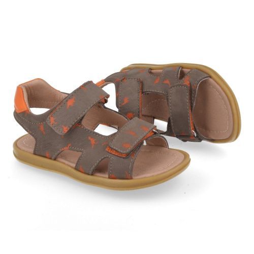 Bana&co sandalen taupe Jongens ( - taupe sandaal met dinoprint22132726) - Junior Steps