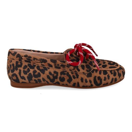 beberlis veterschoen bruin