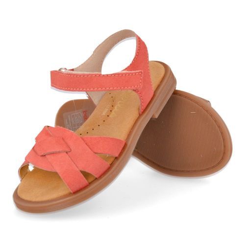 Beberlis Sandals Coral Girls (25137) - Junior Steps
