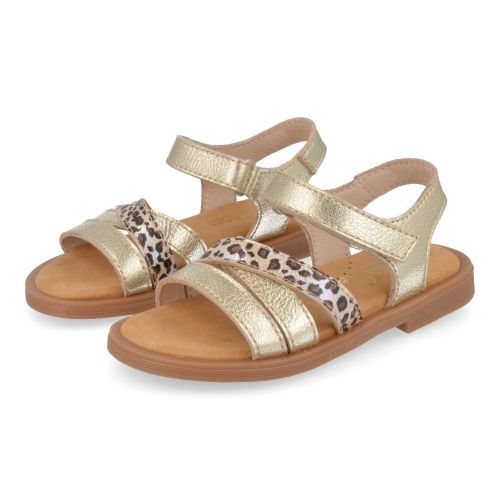 Beberlis sandalen GOUD Meisjes ( - goud leopard sandaal24458-B) - Junior Steps