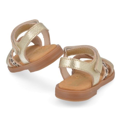 Beberlis sandalen GOUD Meisjes ( - goud leopard sandaal24458-B) - Junior Steps