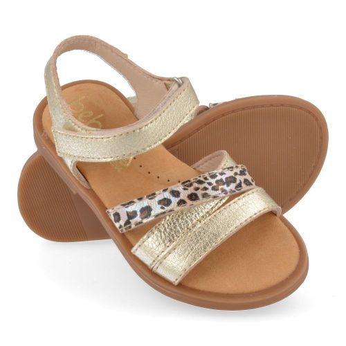 Beberlis sandalen GOUD Meisjes ( - goud leopard sandaal24458-B) - Junior Steps