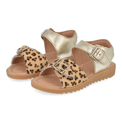 Clic! sandalen GOUD Meisjes ( - gouden sandaal met leopard20673) - Junior Steps
