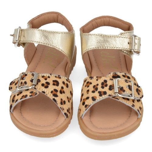 Clic! sandalen GOUD Meisjes ( - gouden sandaal met leopard20673) - Junior Steps