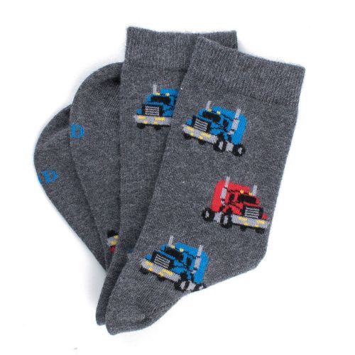 Doré doré Socks Grey Boys (ap511232/3919) - Junior Steps