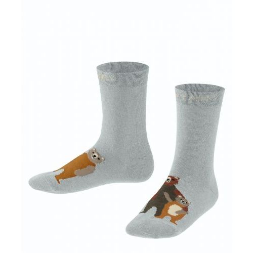 Falke Socks Grey Boys (10463/3355) - Junior Steps