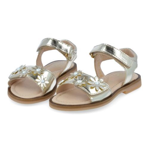 Franco romagnoli sandalen GOUD Meisjes (sandalen goud - 8126F087) - Junior Steps