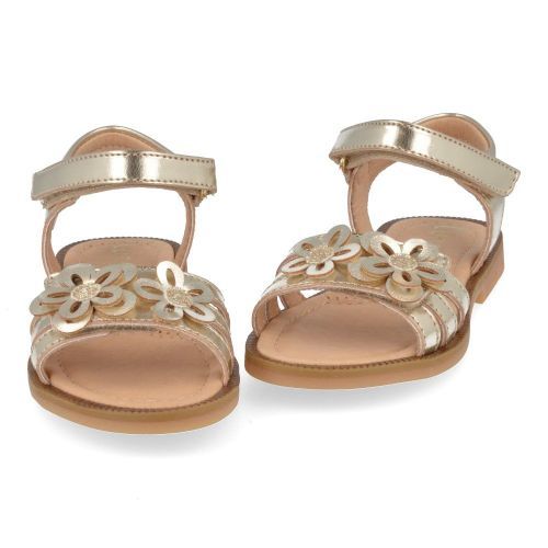 Lunella Sandals Gold Girls (25652) - Junior Steps