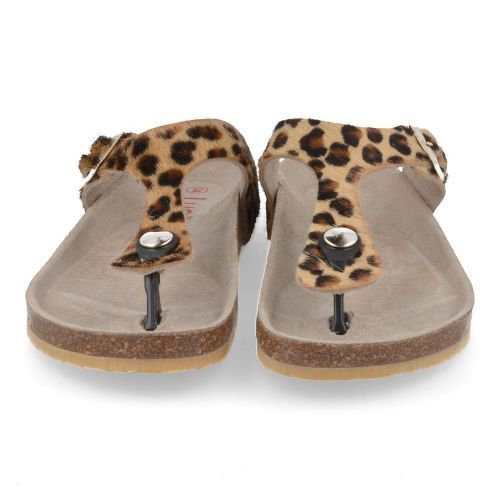 Lunella sandalen GOUD Meisjes ( - voetbedsandaal met leopard21427) - Junior Steps