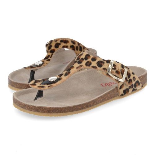 Lunella sandalen GOUD Meisjes ( - voetbedsandaal met leopard21427) - Junior Steps