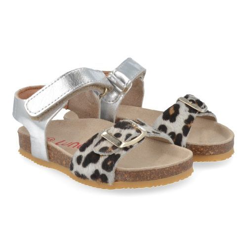 Lunella sandalen zilver Meisjes ( - zilveren sandaal 21415) - Junior Steps