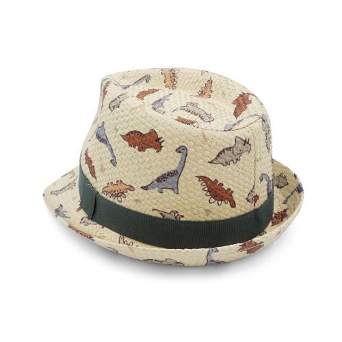 Maximo hoeden beige Jongens (Kinderhoed met dinoprint - 63523-173200) - Junior Steps