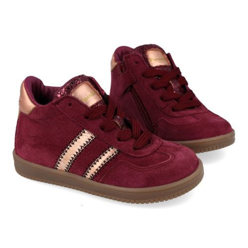 Pinocchio sneakers bordeaux Meisjes (Bordeaux  sneaker  - P1104) - Junior Steps