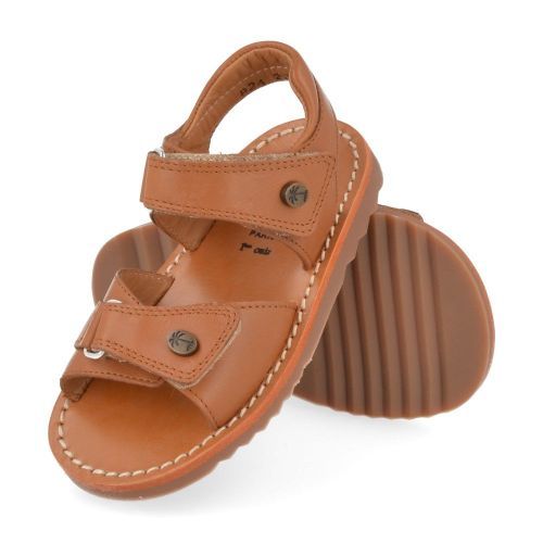 Pom d'api sandalen cognac Jongens ( - waff easy cognac sandaalwaff easy) - Junior Steps