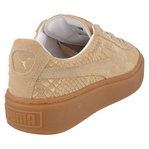 Puma Sports and play shoes beige Girls (363377) - Junior Steps