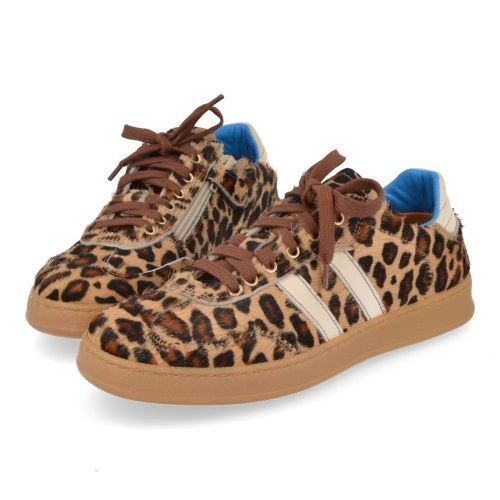 Romagnoli sneakers beige Meisjes ( - beige sneaker met leopard5611R011) - Junior Steps