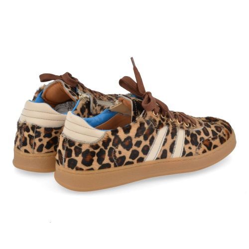 Romagnoli sneakers beige Meisjes ( - beige sneaker met leopard5611R011) - Junior Steps