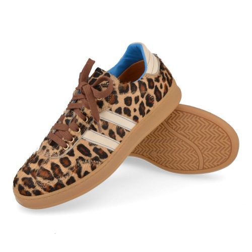 Romagnoli sneakers beige Meisjes ( - beige sneaker met leopard5611R011) - Junior Steps