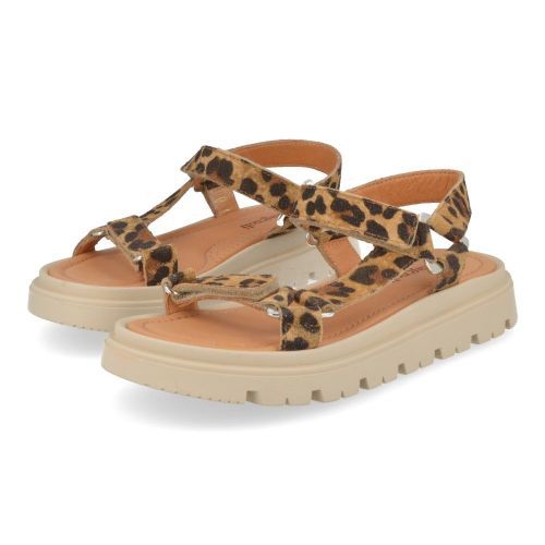 Romagnoli sandalen beige Meisjes ( - leopard sandaal6906R061) - Junior Steps