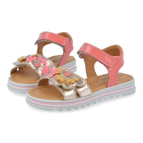 Romagnoli sandalen roze Meisjes (rozé sandaal met bloemen - 8841R093) - Junior Steps