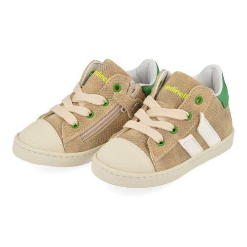 Rondinella Sneakers beige Boys (4316-12AB) - Junior Steps