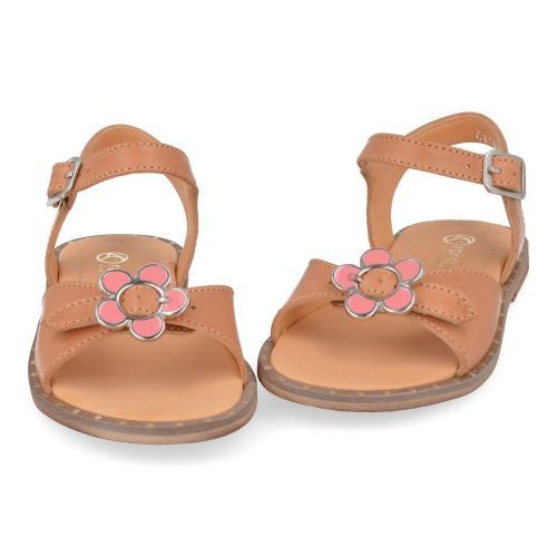 Rondinella sandalen cognac Meisjes ( - cognac sandaal01103C) - Junior Steps