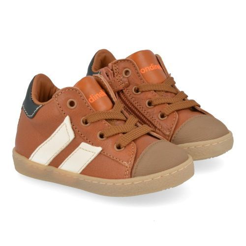 Rondinella Sneakers cognac Boys (4316/12AF) - Junior Steps