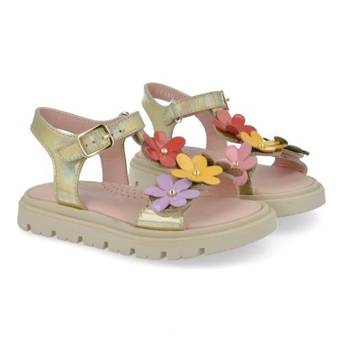 Rondinella sandalen GOUD Meisjes (sandaal goud met bloemen - 01115-1B) - Junior Steps