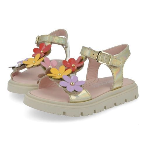 Rondinella sandalen GOUD Meisjes (sandaal goud met bloemen - 01115-1B) - Junior Steps