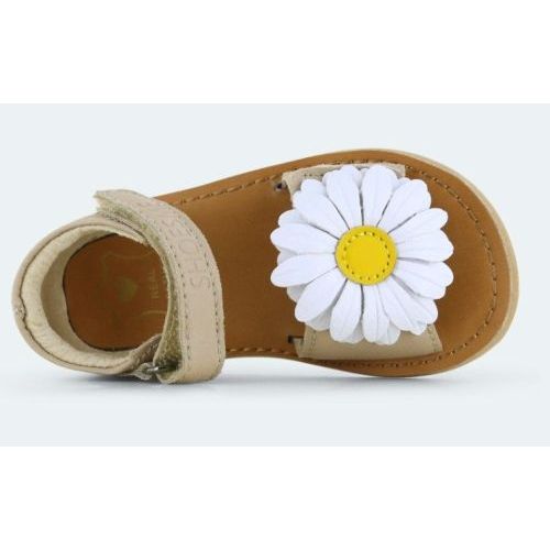 Shoesme sandalen roze Meisjes (meisjessandaal roze - CS26S021-A) - Junior Steps