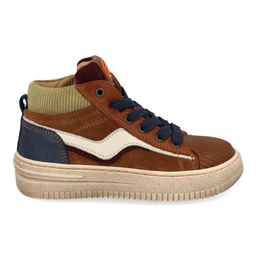 stones and bones sneakers bruin