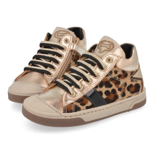 Stones and bones sneakers GOUD Meisjes (sneakers meisjes goud leopard - dayan 5402) - Junior Steps