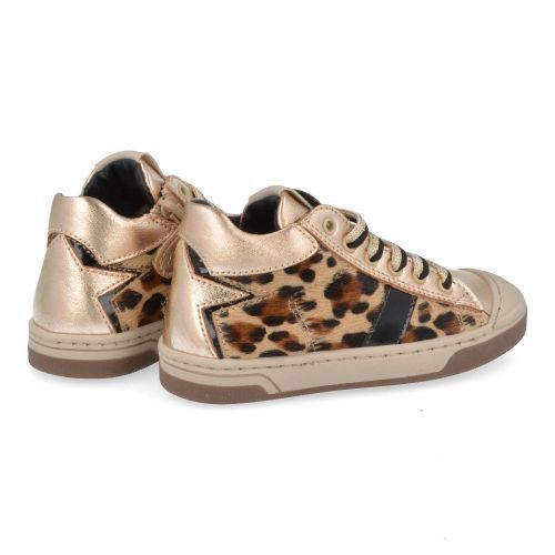 Stones and bones sneakers GOUD Meisjes (sneakers meisjes goud leopard - dayan 5402) - Junior Steps