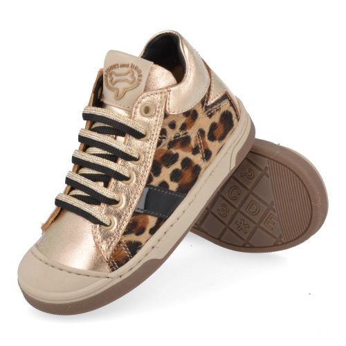 Stones and bones sneakers GOUD Meisjes (sneakers meisjes goud leopard - dayan 5402) - Junior Steps