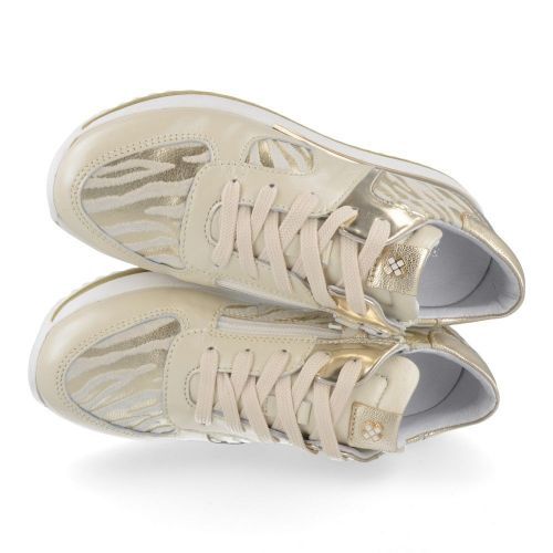 Terre bleue sneakers beige Meisjes ( - gouden sneakerTB8007) - Junior Steps