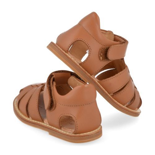 Zecchino d'oro Sandals cognac Boys (A31-3106) - Junior Steps