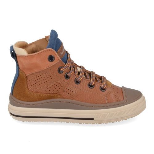 zecchino d'oro sneakers cognac zecchino d'oro sneakers cognac