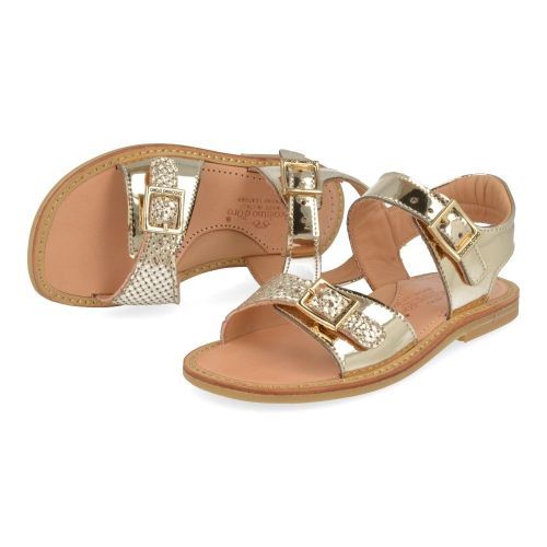 Zecchino d'oro Sandales Or Filles (A21-1906-CB) - Junior Steps