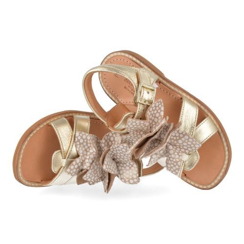 Zecchino d'oro sandalen GOUD Meisjes ( - gouden sandaal met bloemenA21-1846-4L) - Junior Steps