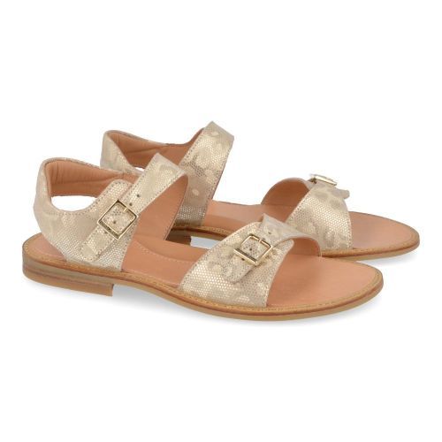 Zecchino d'oro sandalen GOUD Meisjes ( - gouden sandaalF31-6131-2B) - Junior Steps