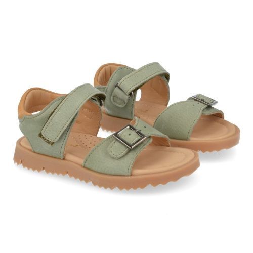 Zecchino d'oro sandalen kaki Jongens (kaki  sandaal  - A33-3301) - Junior Steps