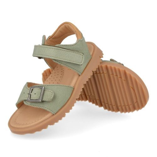 Zecchino d'oro sandalen kaki Jongens (kaki  sandaal  - A33-3301) - Junior Steps